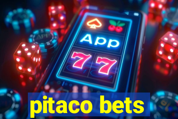 pitaco bets